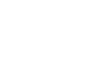 Logo de finix